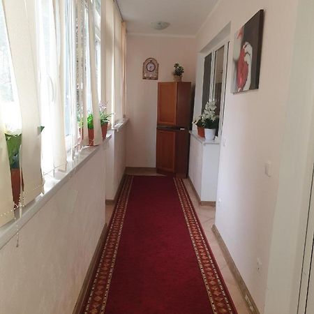 ヤシAlin Apartamentアパートメント エクステリア 写真