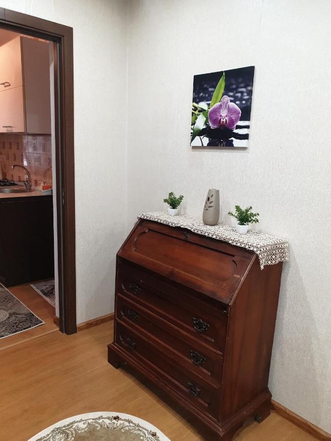 ヤシAlin Apartamentアパートメント エクステリア 写真